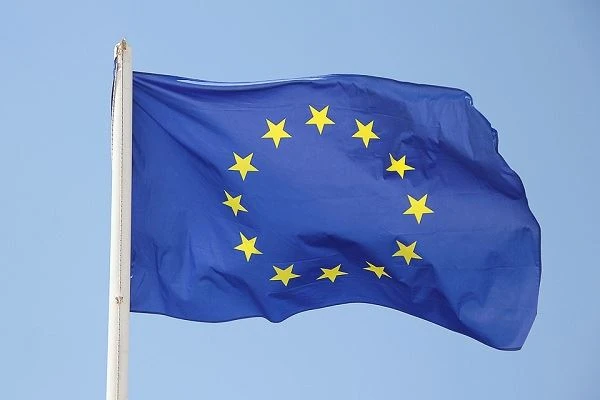 EU bắt đầu đăng ký nhập khẩu ốc vít bằng thép carbon của Trung Quốc