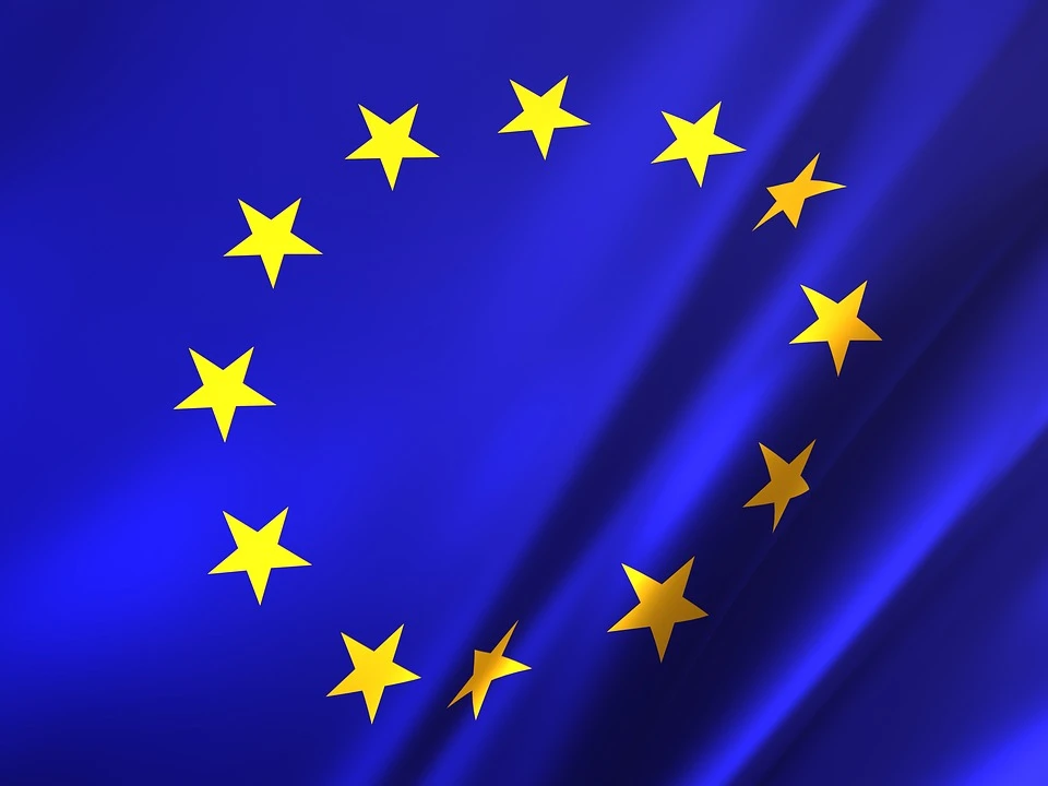 EU áp đặt thuế chống bán phá giá dứt khoát - đối với việc nhập khẩu một số ch...