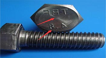 Phân loại và phân loại tài sản Bolt